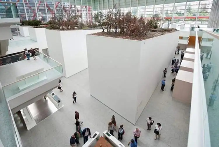 Interior del Museo de la Evolución Humana con las pantallas interactivas y la exposición permanente