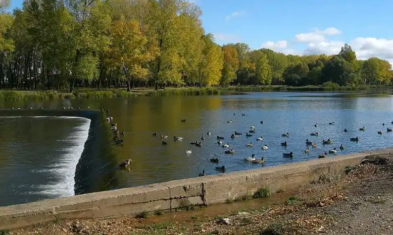 Fuentes Blancas, espacio natural junto al Arlanzón
