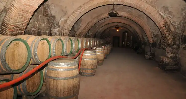 Bodega románica del Monasterio