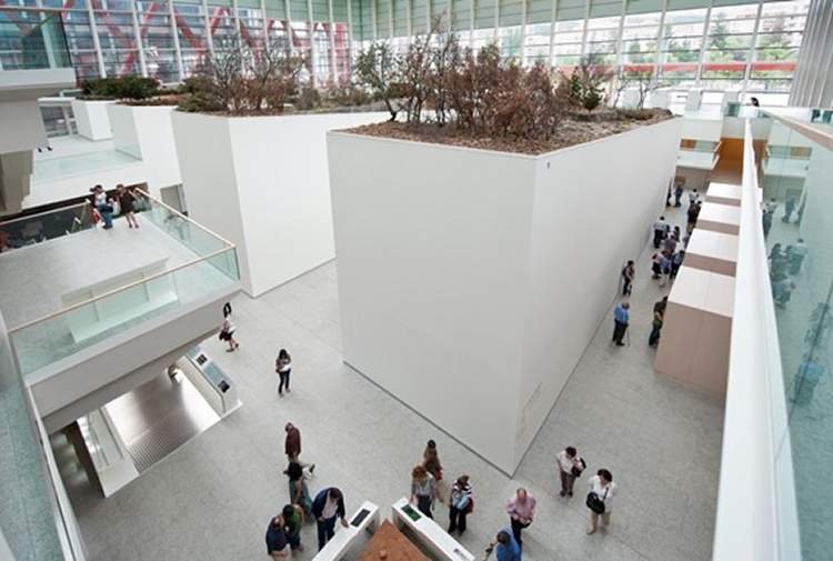 Interior del Museo de la Evolución Humana de Burgos